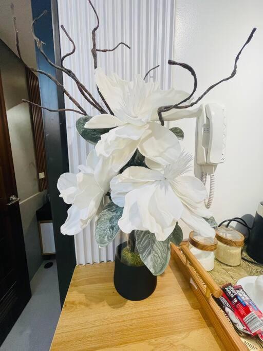 Marias Suite Near Manila Bay Free Use Of Pool Ngoại thất bức ảnh
